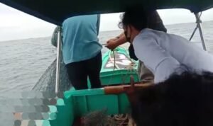 korban kapal hilang kontak tujuan nipah batam