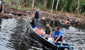 evakuasi terhadap jenazah korban serangan harimau di kabupaten muaro jambi