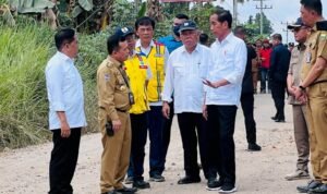 jokowi tinjau jalan di sungai gelam