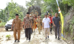 fauzi kunker ke mandiangin