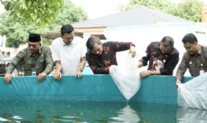 edi purwanto serahkan bantuan bibit lele