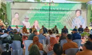 kunker menteri lhk siti nurbaya ke jambi