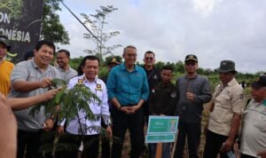 al haris penanaman pohon serentak al haris penanaman pohon serentak