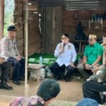 al haris panen cabai di tidar karanji al haris panen cabai di tidar karanji