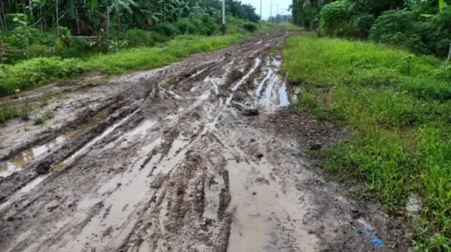 jalan sadu tanjab timur