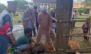 Dansat Brimob Polda Jambi Kombes Pol Nadi Chaidir saat hendak menyembelih hewan qurban