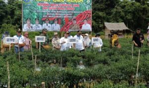 Sejak 2022, Gubernur Al Haris menggelontorkan dana sebesar 10,8 miliar untuk penguatan pangan