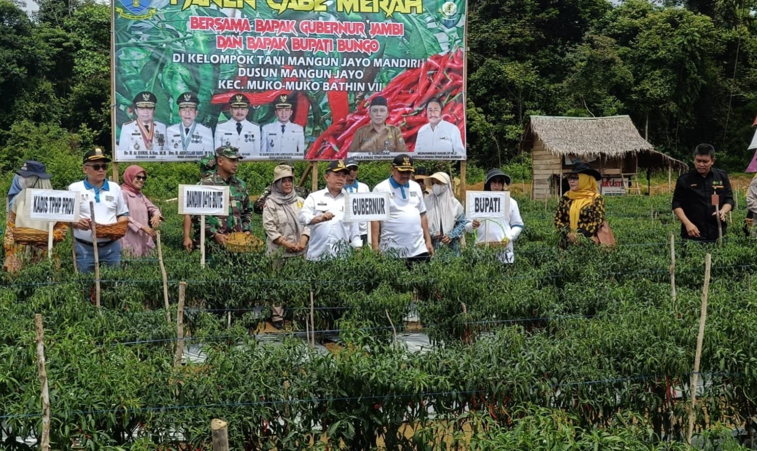 Sejak 2022, Gubernur Al Haris menggelontorkan dana sebesar 10,8 miliar untuk penguatan pangan