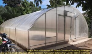 Lantai jemur ultraviolet, salah satu bantuan Dumisake program Gubernur Jambi yang diterima warga Batanghari