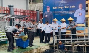 Direktur Tekforma Ditjen PAS Maulidi Hilal saat melalukan panen raya ikan lele di Lapas Kelas IIA Jambi