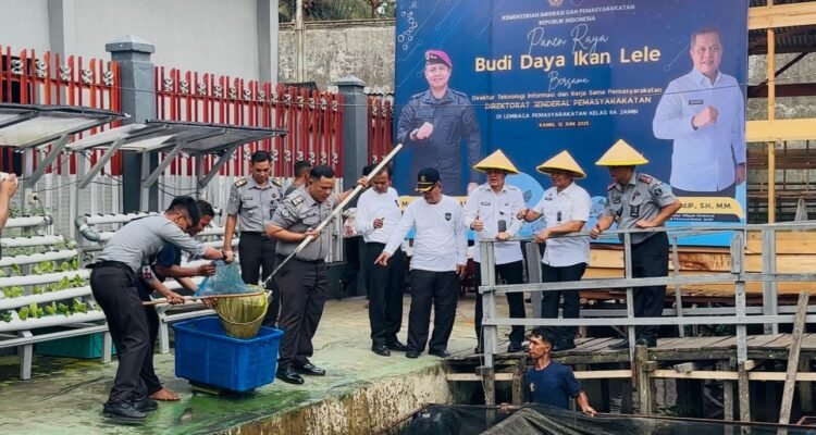 Direktur Tekforma Ditjen PAS Maulidi Hilal saat melalukan panen raya ikan lele di Lapas Kelas IIA Jambi