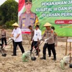 Kapolda Jambi Irjen Pol Krisno H Siregar bersama Forkopimda melakukan penamanan jagung serentak kuartal III sebagai upaya mendukung program ketahanan pangan