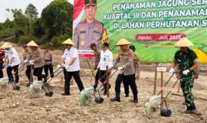 Kapolda Jambi Irjen Pol Krisno H Siregar bersama Forkopimda melakukan penamanan jagung serentak kuartal III sebagai upaya mendukung program ketahanan pangan