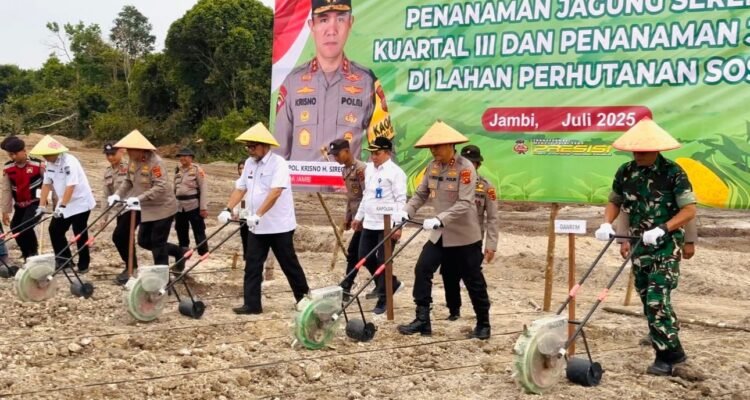 Kapolda Jambi Irjen Pol Krisno H Siregar bersama Forkopimda melakukan penamanan jagung serentak kuartal III sebagai upaya mendukung program ketahanan pangan