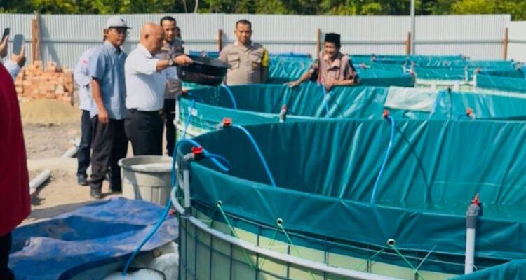 Penebaran benih ikan nila yang ditempatkan pada 16 kolam bioflok di Desa Kasang Lopak Alai
