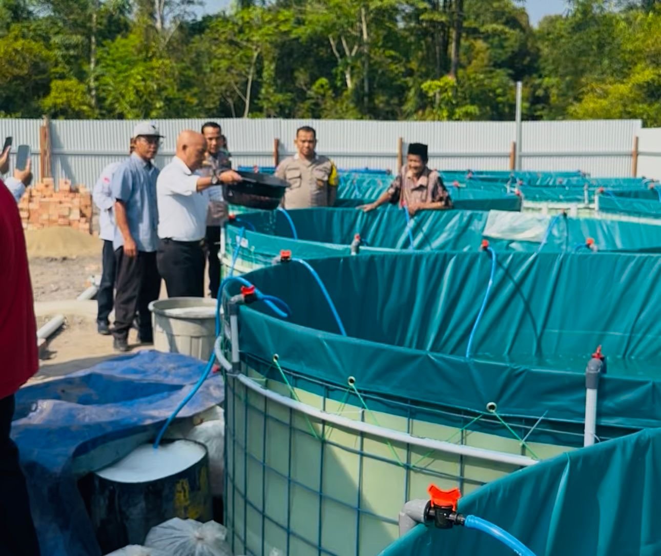 Penebaran benih ikan nila yang ditempatkan pada 16 kolam bioflok di Desa Kasang Lopak Alai