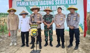 Kapolda Jambi Irjen Pol Krisno H Siregar bersama Gubernur Jambi, Danrem 042/Garuda Putih, Brigjen TNI Heri Purwanto dan Bupati Tanjung Jabung Timur, Dillah Hikmah Sari usai panen raya jagung di Geragai