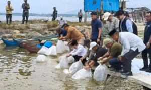 Gubernur Jambi Al Haris menebar puluhan ribu benih ikan di kawasan Danau Kerinci dan Sungai Batang Merao
