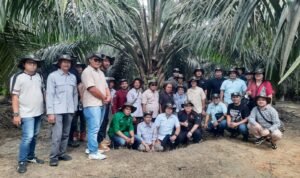 Mitra Asian Agri