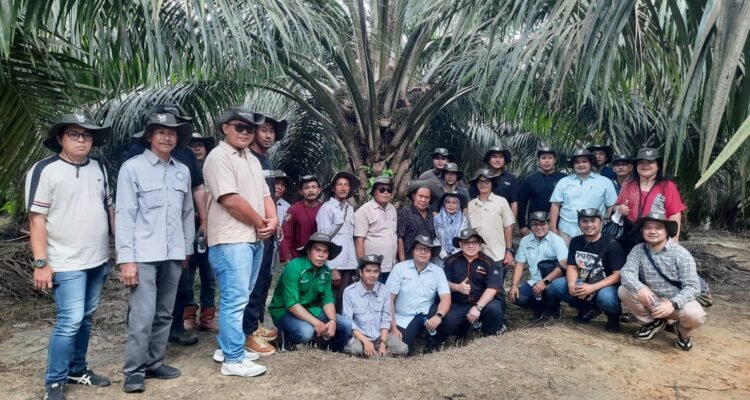 Mitra Asian Agri
