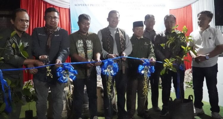 Kopi Fine Robusta Kerinci