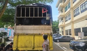 Minyak tanah olahan