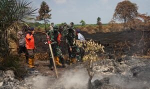 Karhutla di lahan gambut Karhutla di lahan gambut