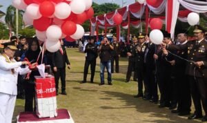 Pemutihan pajak Pemutihan pajak