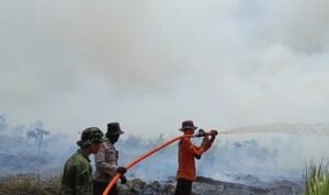 Kualitas udara Jambi Kualitas udara Jambi