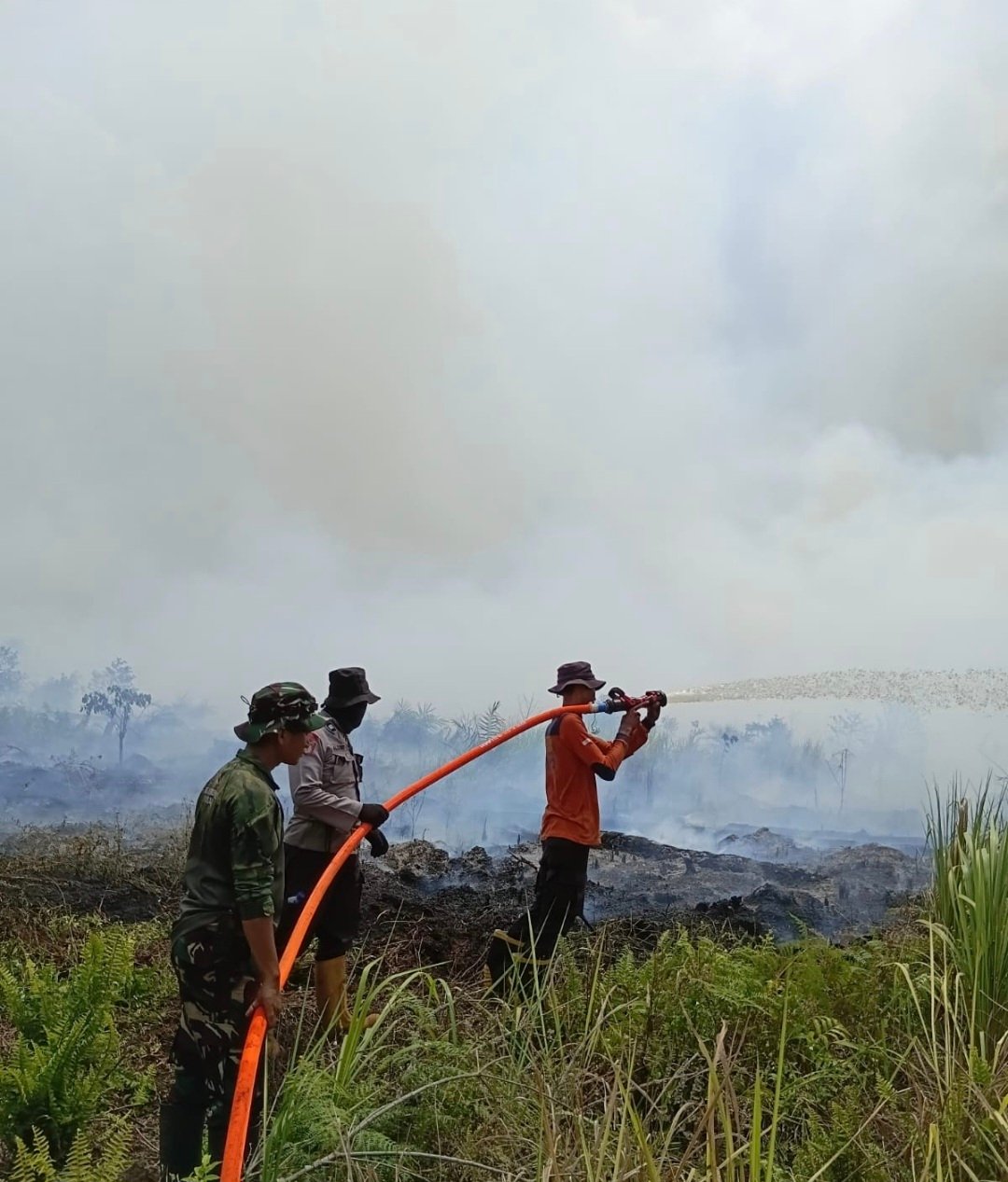 Kualitas udara Jambi