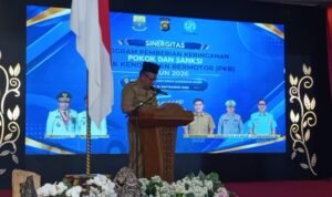Pemutihan pajak Pemutihan pajak