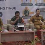 maulana lahan gambut