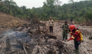 Kebakaran Batang Hari Kebakaran Batang Hari