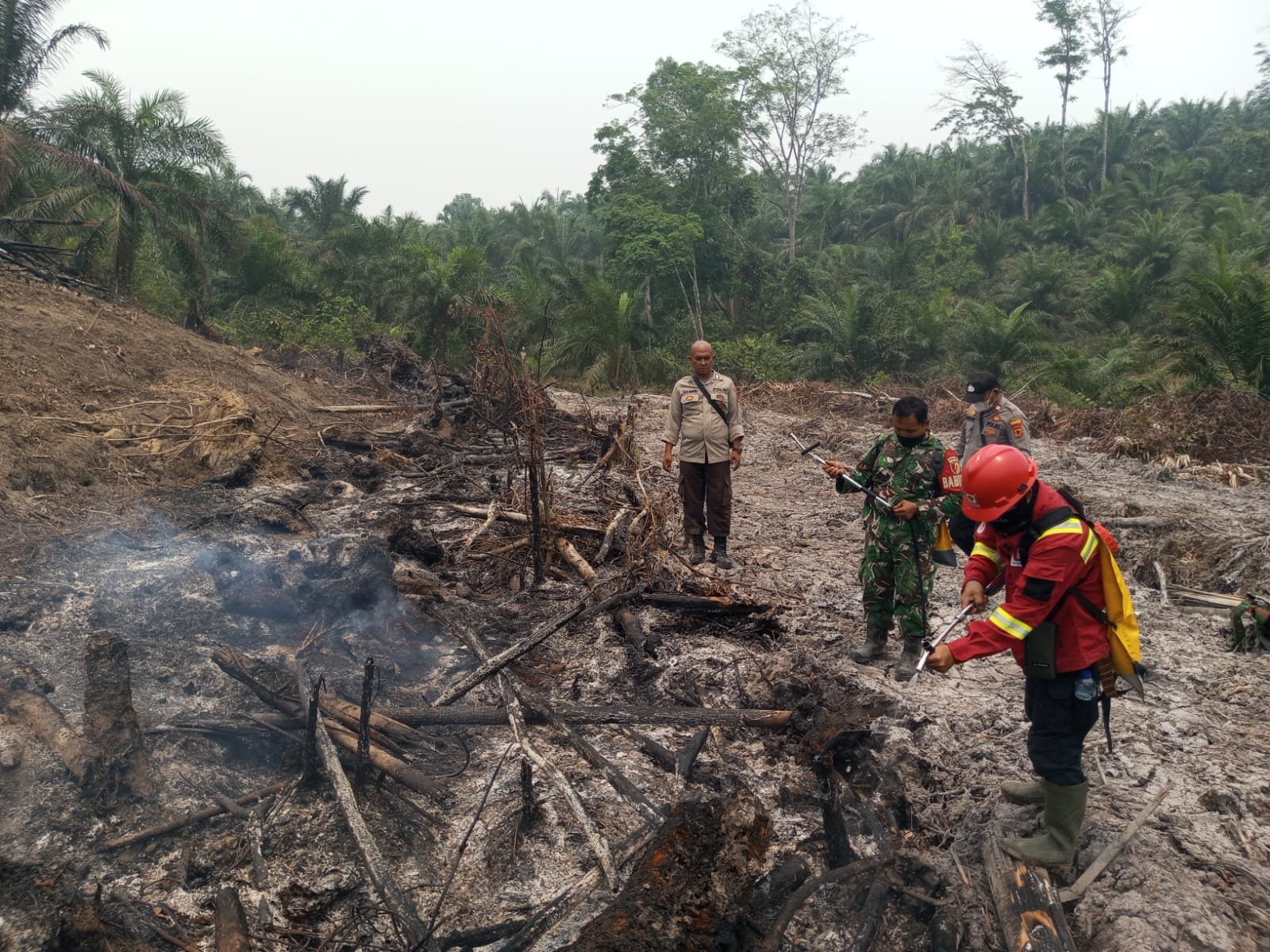 Kebakaran Batang Hari